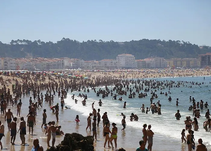 Гостевой дом Casa Senhor Dos Passos 3*